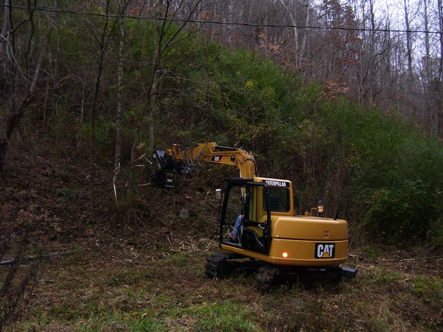 100_0785.jpg