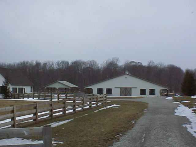 Martyspictures006.jpg